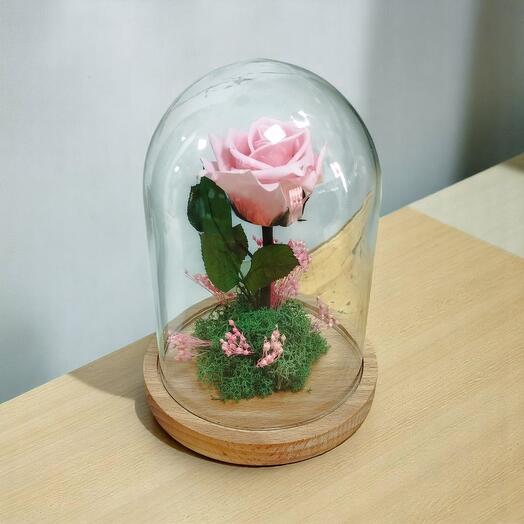 Cupula con Rosa Eterna