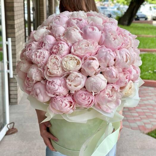 101 premium peonies in a box