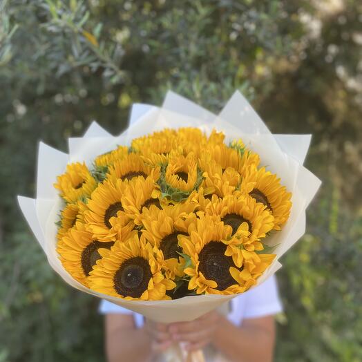 Sun flowers