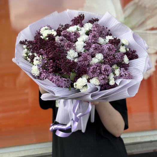 Шикардос💜