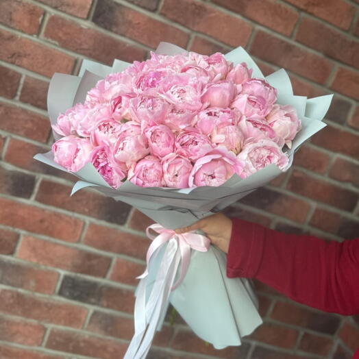 51 пионов нежные