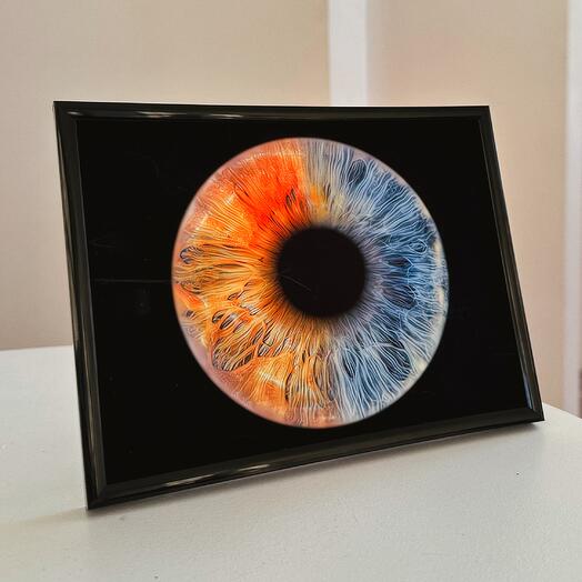 Электронный Сертификат на фото радужки глаза "2 в 1" А3