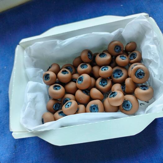 Голубика в шоколаде