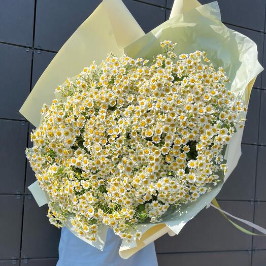 Букет Охапка ромашек