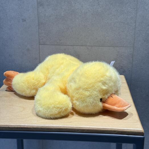 Утенок 🐣