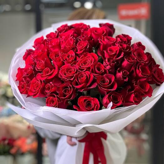 Эксплорер 51