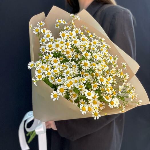 Букет ромашек 19 шт