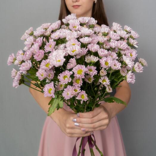Chrysanthemum compliment bouquet