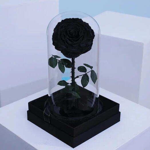 Black Rose