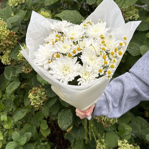 Ромашникус