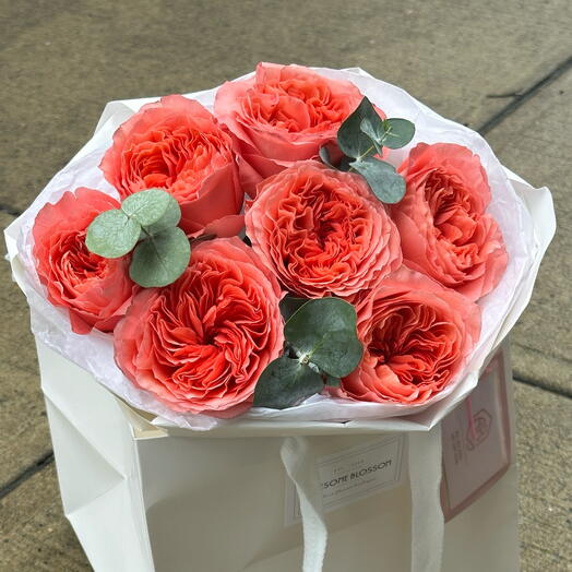 Candy Expression roses - XS