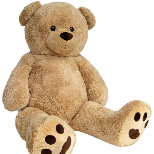 bear 150 cm