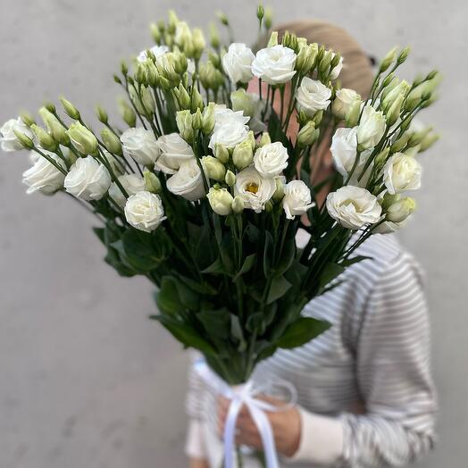 Прекрасная эустома 💗