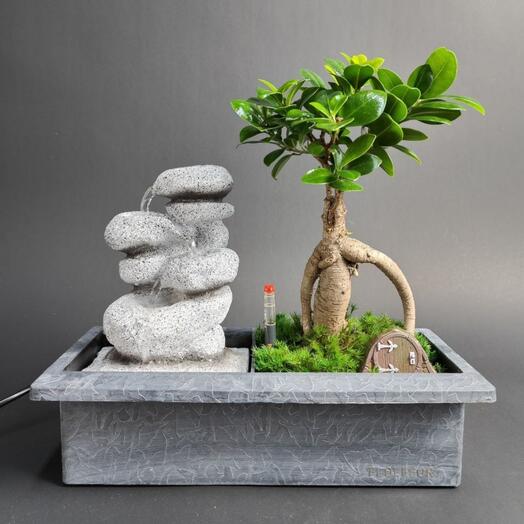Дерево Фикус Гинсенг бонсай в кашпо с автополивом и живым водопадом