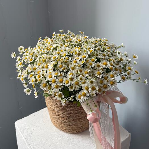 Солнечная Корзина ромашек для девушки 🌼