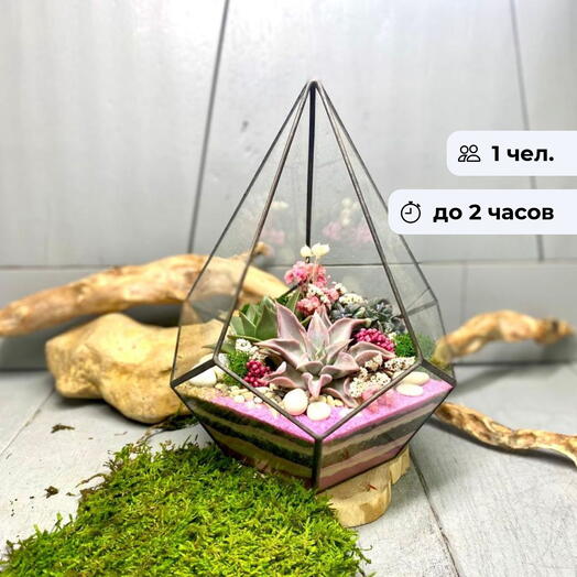 Зелёное вдохновение. Индивидуальный мастер-класс по созданию флорариума
