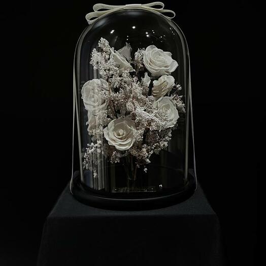 «Crystal Purity Dome»