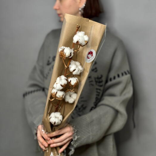 Букет из веточки хлопка (хлопок)
