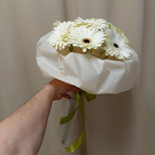 Облако из белых гербер