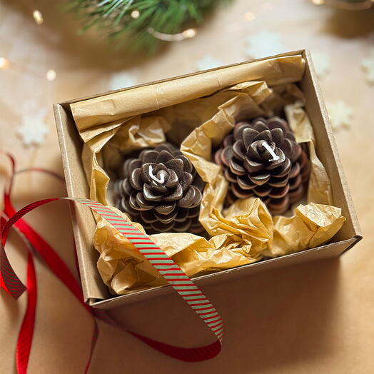 Подарочный набор свечей «Шишка Хамелеон»