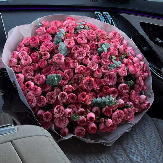 Роскошные кустовые пионовидные розы Хави