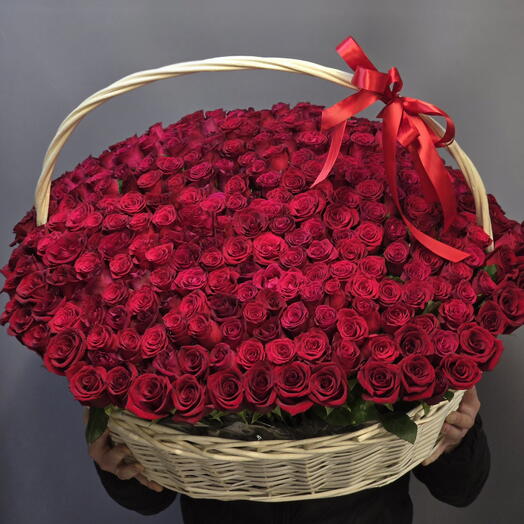 Шикарная корзина из 301 розы