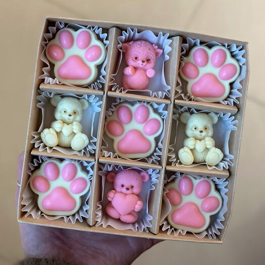Cute set of Belgian chocolates