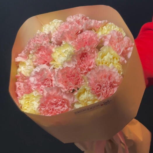 🍧Fruit Sorbet - Super Long-Lasting Dianthus — Mixed Colors