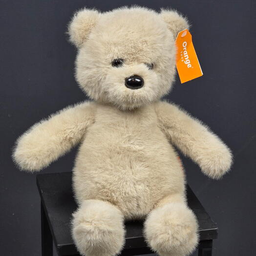 Мишка Торопыжка