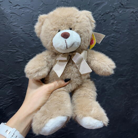 Медведь нежный Teddy