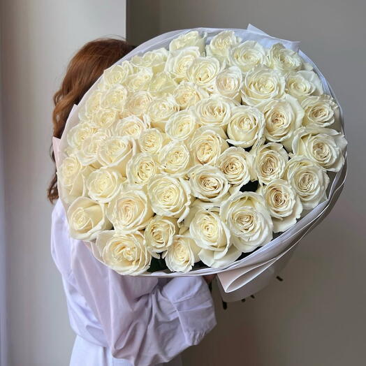Rose white