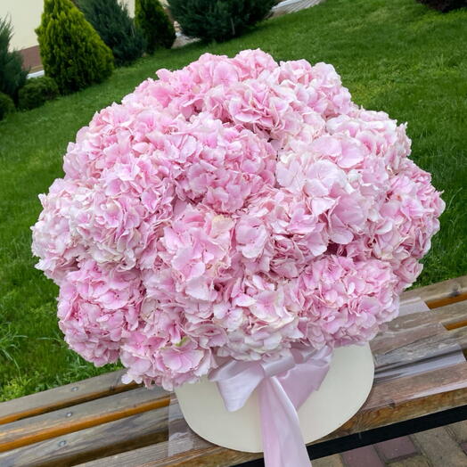 Розовая гортензия в коробке 🌸🎀