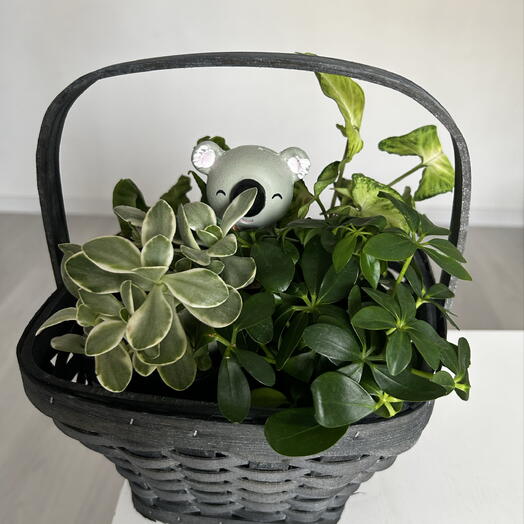 Корзинка ‘GreenLoft  🎋( m )