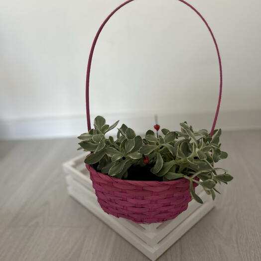 Корзинка ‘Про любовь 2 💞