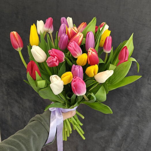 Букет из 25 тюльпанов 💐 СОЧИ