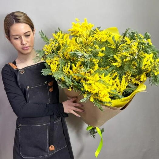 Мимоза большой букет Гигант уценка