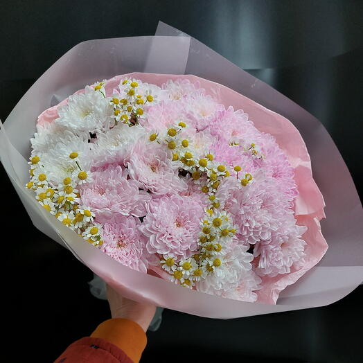 Ромашки в розовом