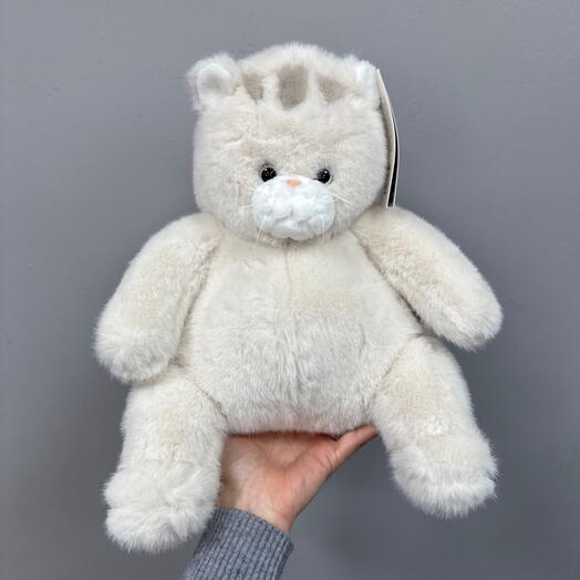 Кот Ричи