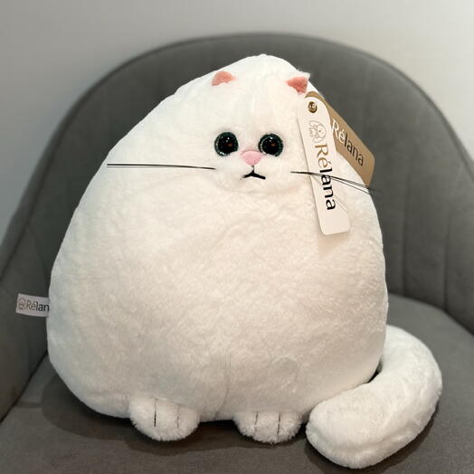 Белая кошка