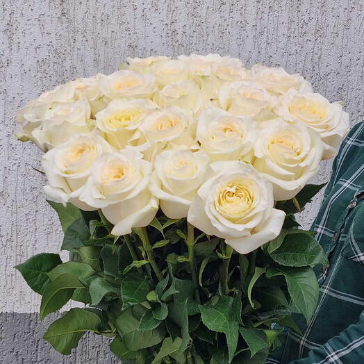 Пионовидные розы 80 см
