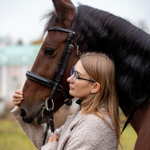 Подарочный сертификат на услуги конного клуба