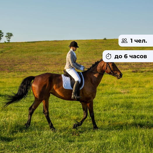 Самшитовые водопады. Конная экскурсия в пгт. Дагомыс