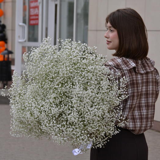 Гипсофила белое облако