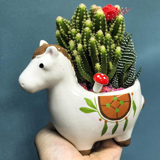 Кактусы микс в керамике