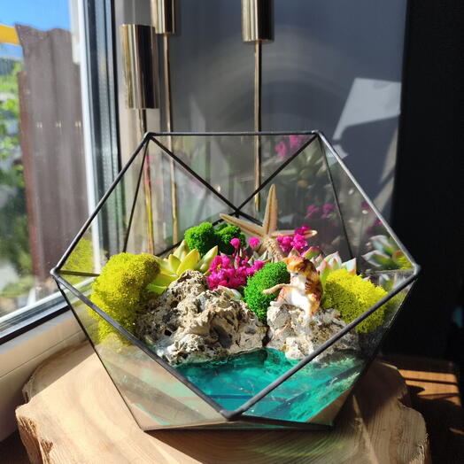 Florarium náutica regalo