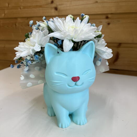 Котик голубой с хризантемой