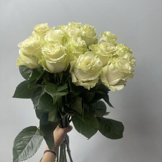 Роза мондиаль 15 шт (для мамы, для жены , для сестры )