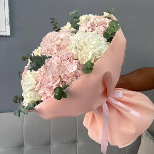 Maison Blush Hydrangea 🤍🌸