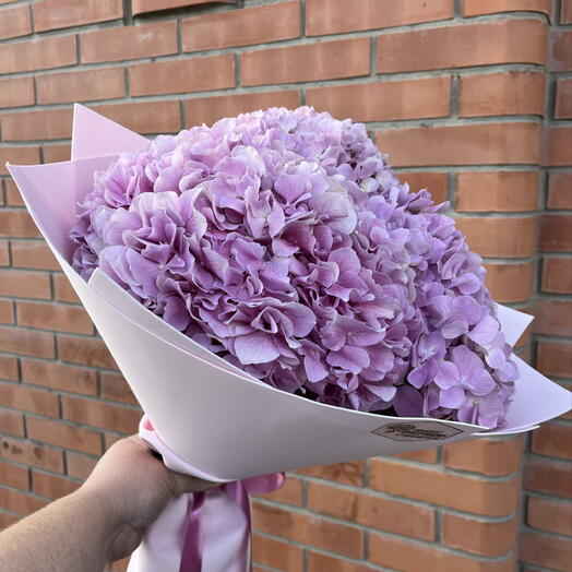 Букет из 3 гортензий