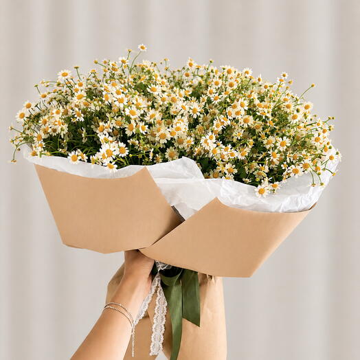 Букет из 25 кустовых ромашек